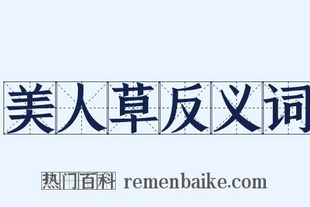 美人草反义词是什么意思的图片